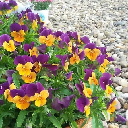 El Pilar De Don Gregorio Casa di campagna Pereruela