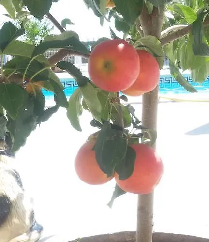 El Pilar De Don Gregorio Landhuis