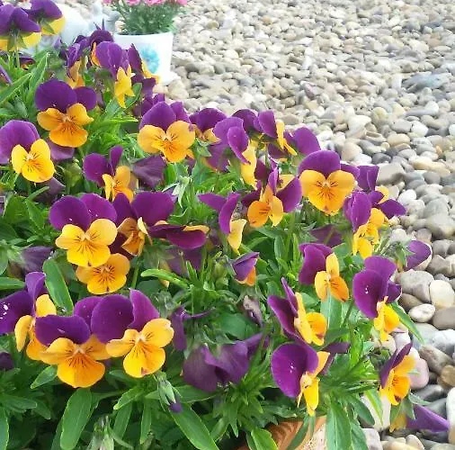 El Pilar De Don Gregorio Landhuis Pereruela